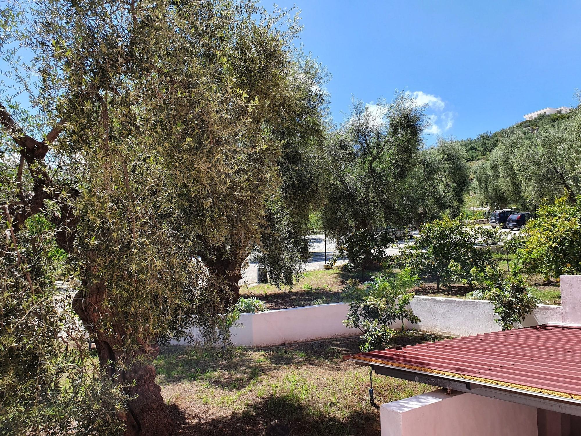 Hotel Delle More Vieste Esterno foto